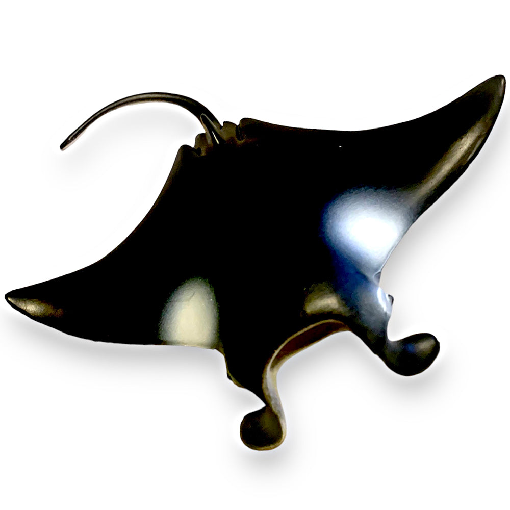 Cryptid Crate Junior -Flying Ray - 01.24