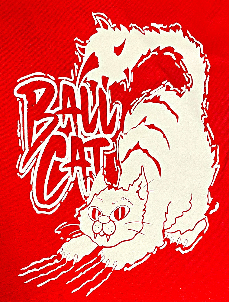 Cryptid Crate Junior December 2025