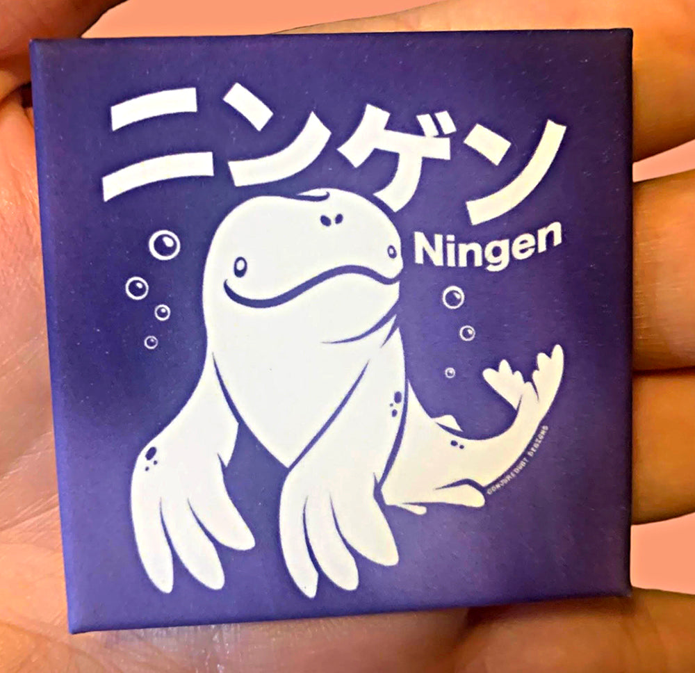 Ningen Magnet